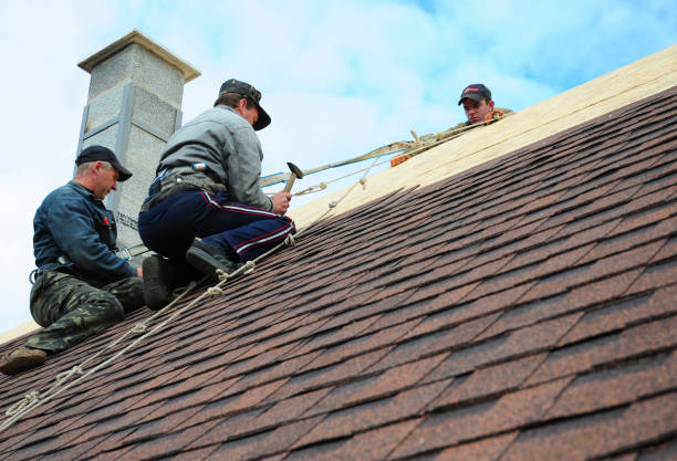 Best Storm Damage Roof Repair  in Lanham, MD